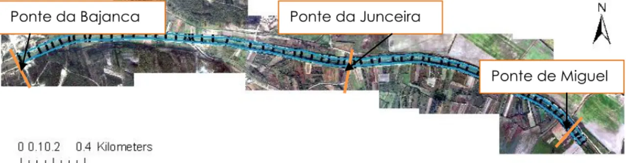 Figura 15 – Troço de 4 km do Rio Lis entre a ponte de Miguel e a ponte da Bajanca. 