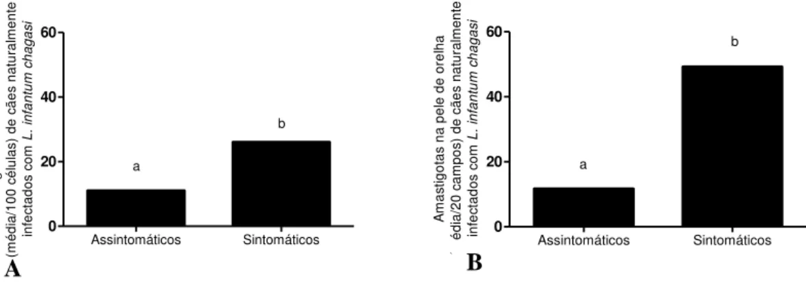 Gráfico 3 - Carga parasitária tecidual em cães positivos para leishmaniose provenientes do Município de  Ribeirão das Neves-MG: (A) média do número de amastigotas, determinada por Giemsa, na medula óssea,  em 100 células, de 44 cães com L