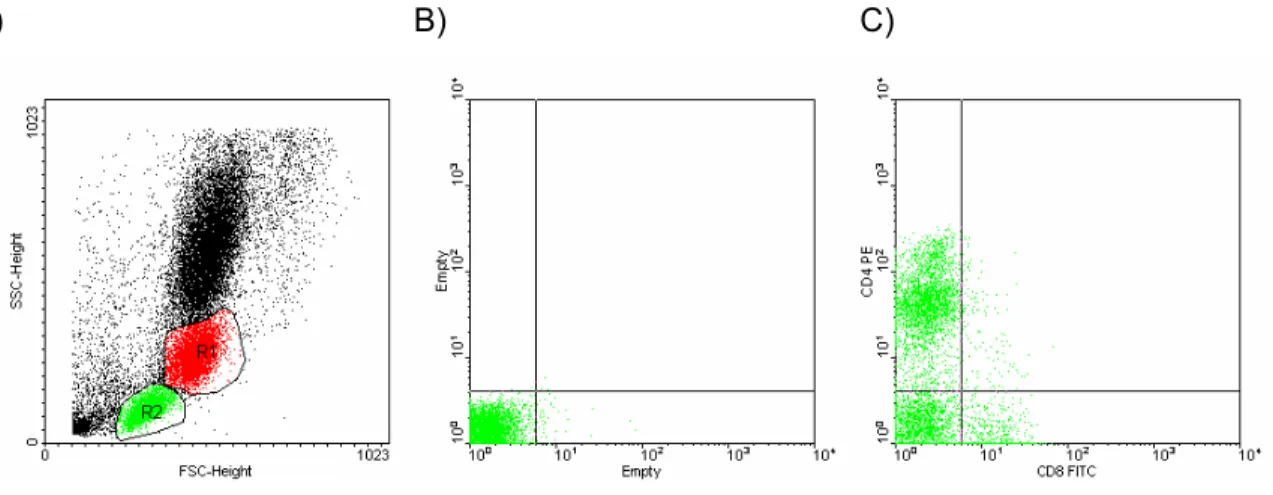 FIGURA 4 - Porcentagem de linfócitos T CD4 +  e CD8 +  - Citometria de fluxo  A) Separação das células 