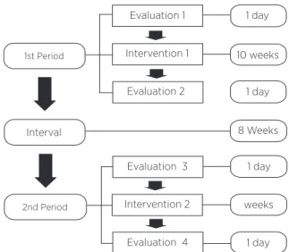 Figure 1. Flowchart of the evaluation and intervention procedures 