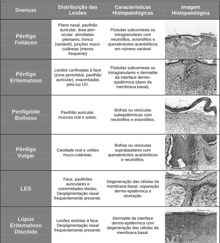 Tabela 4 - Diferenciação Anatómica e Histopatológica das Diversas Doenças Pustulares Dermo-epidérmicas  (adaptado de Gross et al