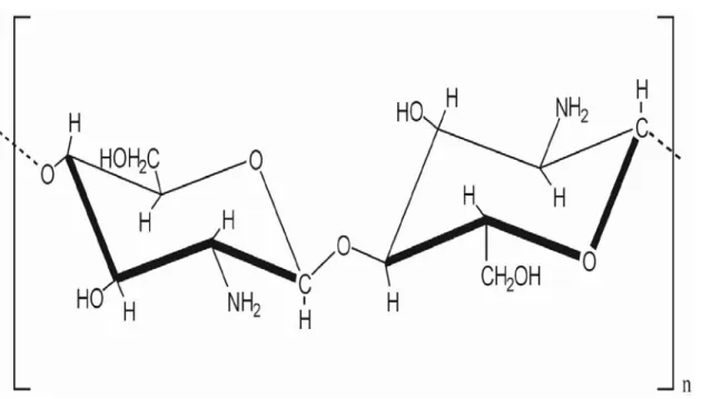 Figura 3.7 Estrutura química da quitosana.   Fonte: quitosana.zip.net/images/Chitosan-chemie.jpg 