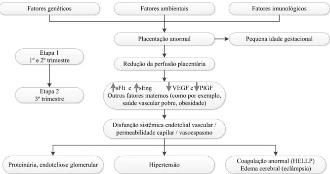 Figura 3: Fisiopatologia da preeclâmpsia(Naljayan e Karumanchi, 2013) 