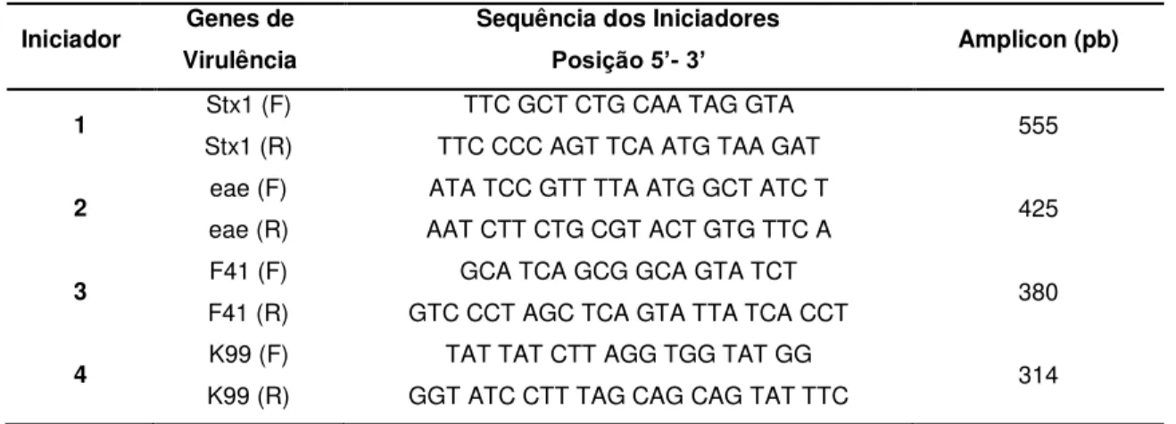 Tabela  2:  Iniciadores  usados  na  PCR  multiplex  para  identificação  dos  genes  de  virulência  de  E