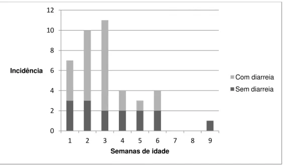 Gráfico 2: Incidência de rotavírus do grupo A ao longo das nove semanas de idade em bezerras leiteiras  (n=67) com e sem diarreia criadas em uma propriedade localizada em Martinho Campos – MG (2008)