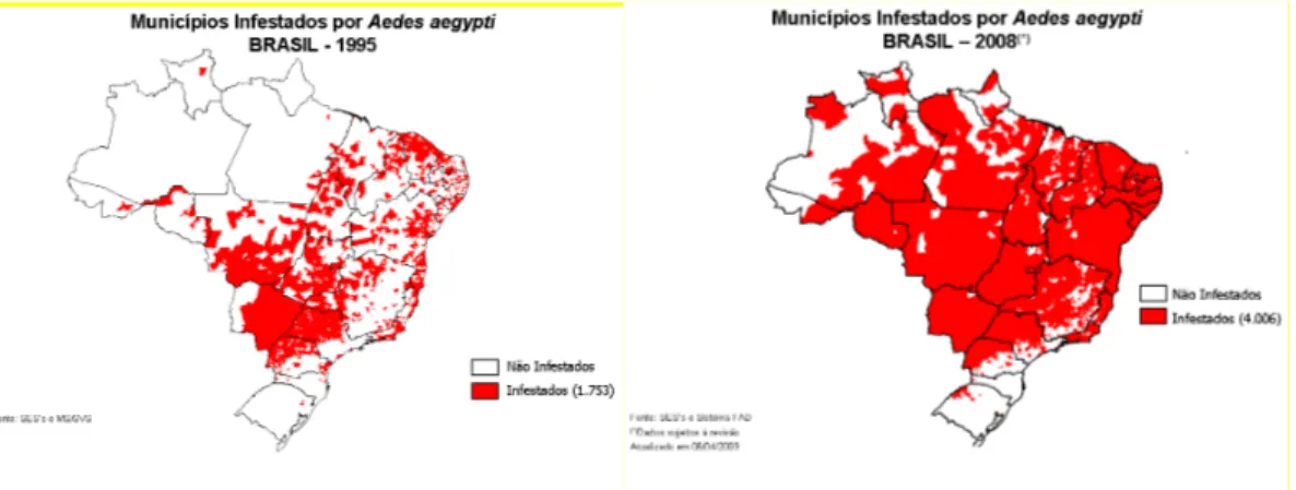 Figura 2. Número de municípios infestados por Aedes aegypti nos anos de 1995 e 2008    no  Brasil