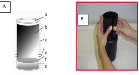 Figura 5. (A) Armadilha MosquiTRAP versão 1.0 (GAMA et al. 2007) utilizada  nos  experimentos  de  Pedro  Leopoldo  (MG),  (a)  abertura  superior;  (b)  cartão  adesivo para  captura de mosquitos  adultos,  inserido  no interior do  frasco;  (c)  frasco p