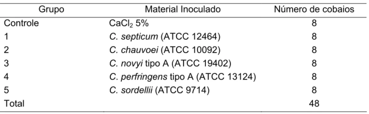 Tabela 4.  Definição  dos  grupos  experimentais de cobaias inoculadas com solução de CaCl 2  5% e suspensões bacterianas de clostrídios histotóxicos com CaCl 2  10%