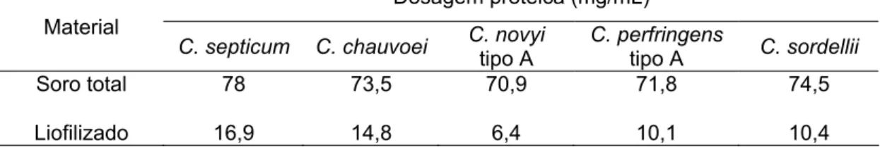 Tabela  6.  Dosagem protéica do soro hiperimune total e da alíquota precipitada de  imunoglobulinas G de coelhos inoculados com Clostridium septicum,  Clostridium chauvoei,  Clostridium novyi tipo A, Clostridium perfringens tipo A e Clostridium sordellii