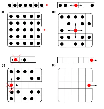 Figura 3.1: Representa¸c˜ ao esquem´ atica de simula¸c˜ oes dos modelos de c´ apsulas 1D e 2D, sendo o in´ıcio de cada simula¸c˜ ao em (a), o salto das part´ıculas para os primeiros vizinhos (b), as condi¸c˜ oes de movimento s˜ ao mostradas em (c) e o t´ e