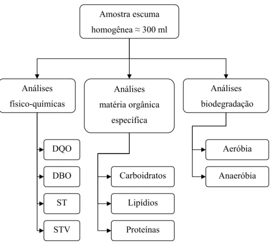 Figura 4.9 – Fluxograma das análises de caracterização qualitativas (físico-química e 