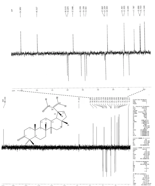 Figura 2.6: Subespectro DEPT-135 de G2 [3-oxo-lup-20(29)-en-30-al] (CDCl3 ; 100  MHz)