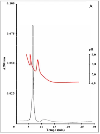 Figura  15B.  Perfil  cromatográfico  da  cromatofocalização  das  mioglobinas  estomacais