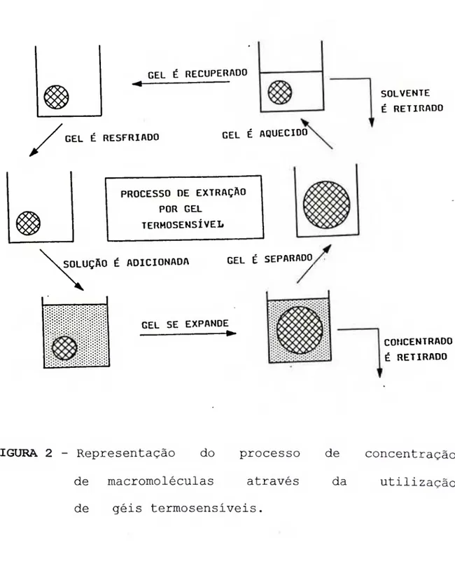 FIGURA 2 - Representação do processo  de macromoléculas através  de géis termosensiveis