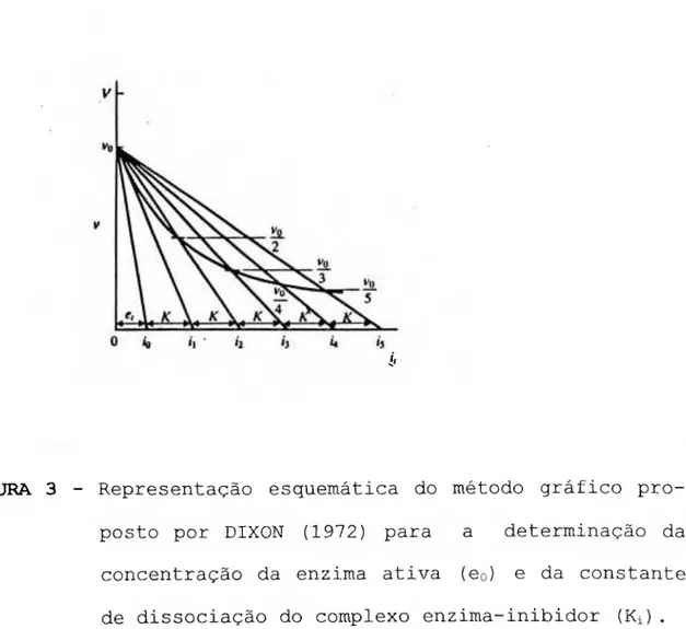 FIGURA 3 - Representação esquemática do método gráfico pro-  posto por DIXON (1972) para a determinação da  concentração da enzima ativa (eo) e da constante  de dissociação do complexo enzima-inibidor (Ki) 