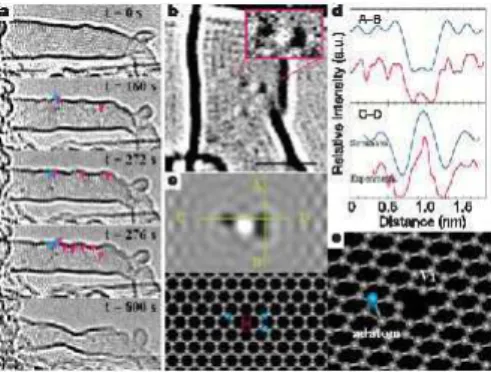 Figura 3.2: (a),(b), Imagens de HRTEM de um SWNT durante irradia¸c˜ ao eletrˆonica. Os pontos claros correspondem a vacˆancias(setas vermelhas) e os pontos escuros a ad´atomos(setas azuis)