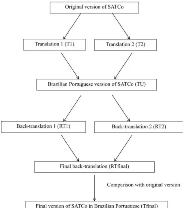 Figure 1. Flowchart of the translation process of SATCo.