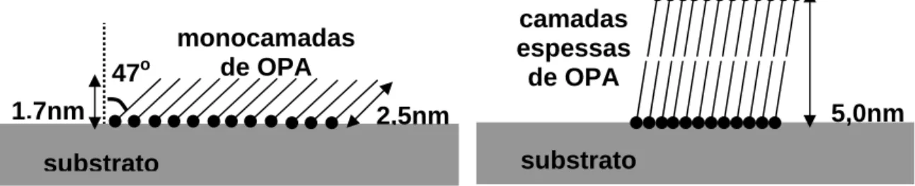Figura 1 – Desenho esquemático monocamadas e camadas espessas de  OPA. 