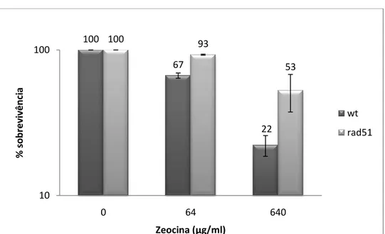 Figura  10:  Sobrevivência  de  T.  cruzi  selvagem  (WT)  e  superexpressando  TcRad51 (Rad51) submetidos ao tratamento com zeocina