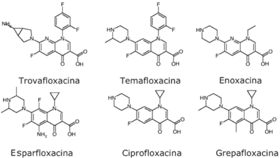 Figura 4 - Fórmula estrutural e nome de algumas fluorquinolonas utilizadas como fármacos