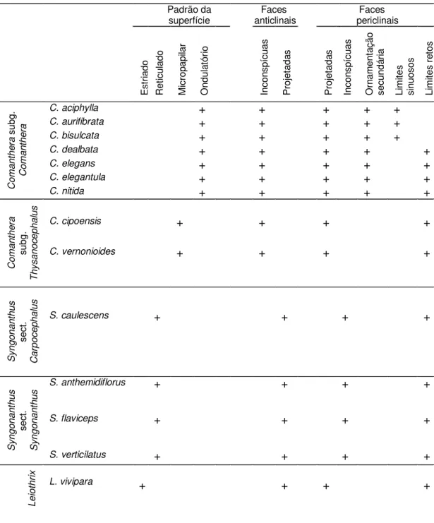Tabela 2 Principais características micromorfológicas utilizadas para analisar as espécies estudadas