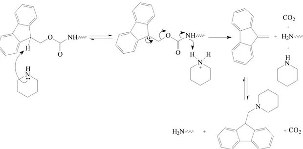 Figura  1.3 –  Mecanismo  genérico  proposto  para  a  reação  de  desproteção  (remoção do grupo Fmoc) com piperidina em Fmoc-peptidil-resinas.