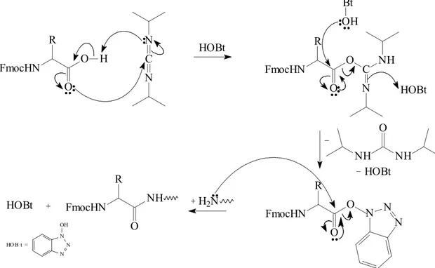Figura  1.4 –  Mecanismo  genérico  proposto  para  a  reação  de  acoplamento  de  Fmoc-aminoácidos à peptidil-resinas pelo método de ésteres OXt.