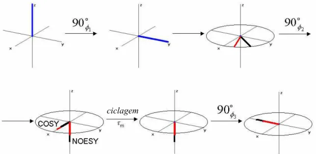 Figura 1.12 – Comportamento  das magnetizações de dois núcleos nas seqüência  de pulsos NOESY.