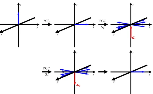 Figura  1.13 – Ação  de  PGC  na  desfocalização  e  refocalização  seletiva  de  uma  componente de magnetização.