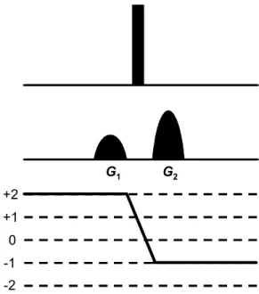 Figura  1.14 –  Atuação  dos  PGC  na  refocalização  seletiva  de  uma  ordem  de  coerência (adaptada de Claridge et al., 1999).
