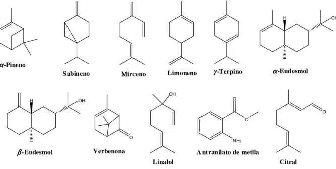Figura I.2. Estrutura química dos constituintes terpênicos presentes em óleo essencial de espécies vegetais