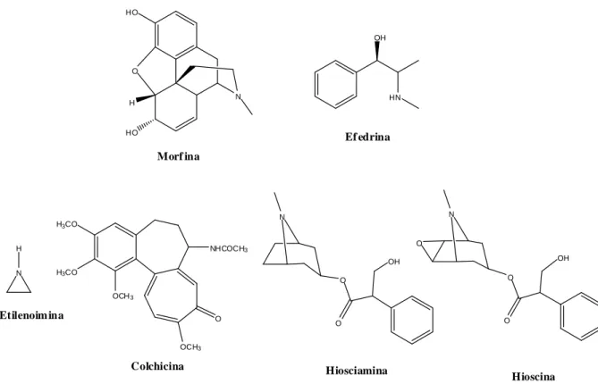 Figura I.3. Estrutura química dos alcalóides identificados em espécies vegetais. 