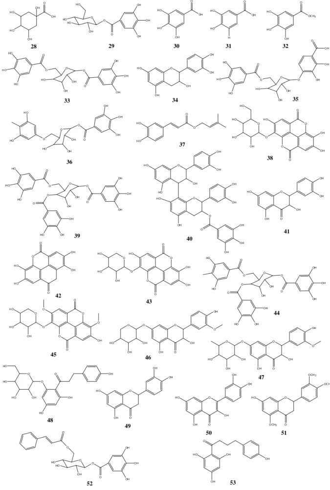 Figura  I.13.  Estrutura  química  dos  compostos  identificados  no  caule  de  Eucalyptus  grandis.