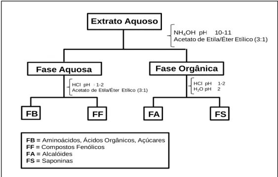 Figura  II.2.  Sequência  metodológica  para  o  isolamento  dos  constituintes  polares  do  EAq  das  folhas  de  E