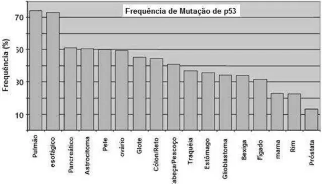 Figura 3  – Freqüência de mutação da proteína p53 em diferentes tipos de 