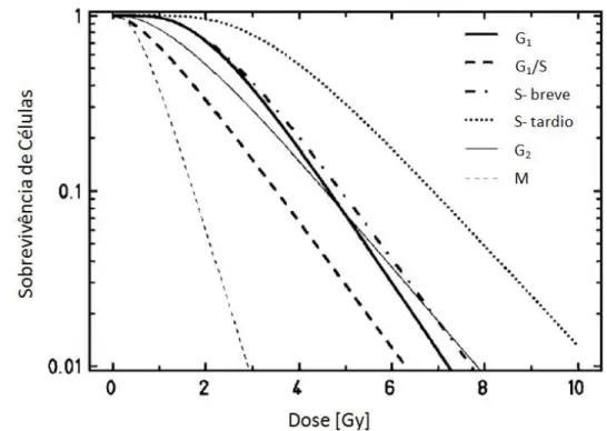 Figura 5  – Dependência da radiossensibilidade de uma célula em função da dose 