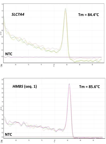 Figura  8.  Curva  de  dissociação  dos  marcadores  SLC7A4  e  HMBS  (seq.  1)  com  indicação do Tm de cada amplicon