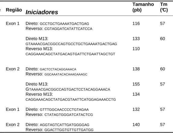Tabela  III  –  Iniciadores,  tamanho  dos  fragmentos  e  temperaturas  de  anelamento  utilizadas para amplificação dos exons 1 e 2 dos genes K e H-ras de amostras de tumor  e tecido normal de ratos tratados com broto de samambaia