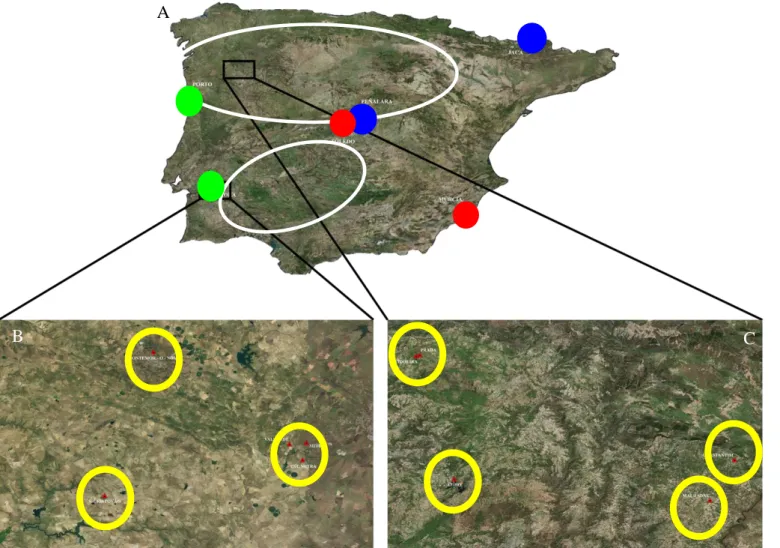 Figure 2- Map of the study area. A) Locations of the mesocosms in the Iberian Peninsula; red circles represent arid locations (Murcia and Toledo), green circles represent  temperate locations (Évora and Porto) and blue circles represent mountain locations 