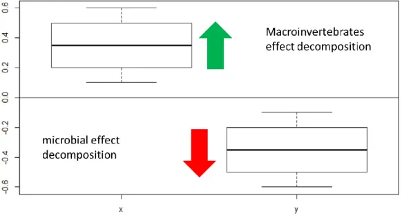 Figure  11-  Example  of  the  ratio  used  in  this  study.  If  results  were  positive  there  is  an  effect  of  macroinvertebrates and if the results were negative, there is a positive effect of microorganisms