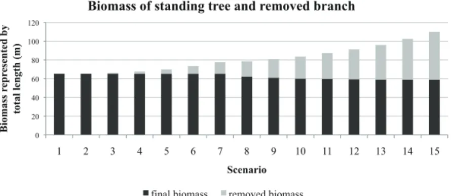 Figure 6. Evolution of tree biomass in 15 different scenarios (pruning occurs in year displayed on x-axis).