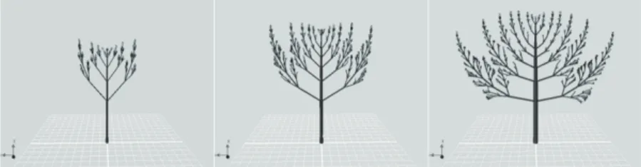 Figure 1. Pine tree development after 5, 8, and 11 years (from left).
