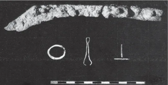 Figura 5 - Conjunto do espólio exumado na necrópole do Casalão (segundo Serrão, 1964)