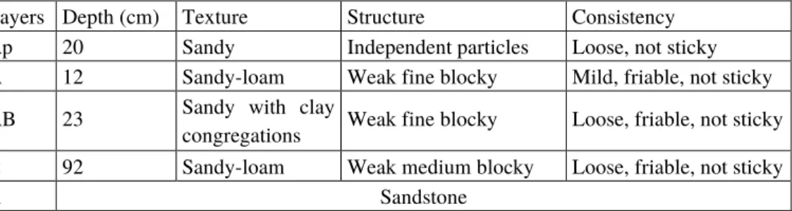 Tab. 2 Profile layers description of the soil in the study area. 