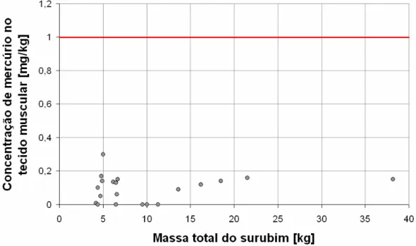 Gráfico 5 - Concentração de mercúrio (mg/kg) no tecido muscular em função da massa total  das amostras dos surubins 
