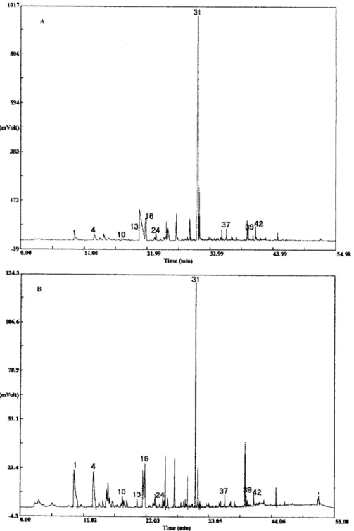 Figure 3. SPME-GC-MS chromatograms obtained from coffee samples extracted with, A, the CW-  DVB fiber and, B, the PDMS fiber