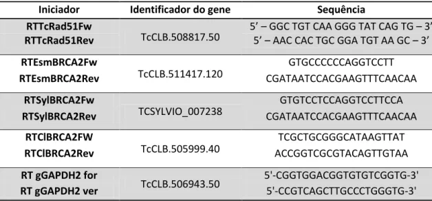 Tabela 1 -  Sequência dos iniciadores utilizados para a PCR em Tempo Real 