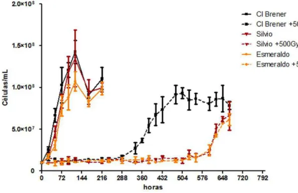 Figura  6    -    Curva  de  crescimento  de  diferentes  cepas  de  Trypanosoma  cruzi  submetidos  à  radiação  ionizante  – Curva de crescimento de cepas Sílvio (vermelhor), Esmeraldo (laranja) e Cl Brener (preto)  expostas  à  500Gy  de  radiação  ioni