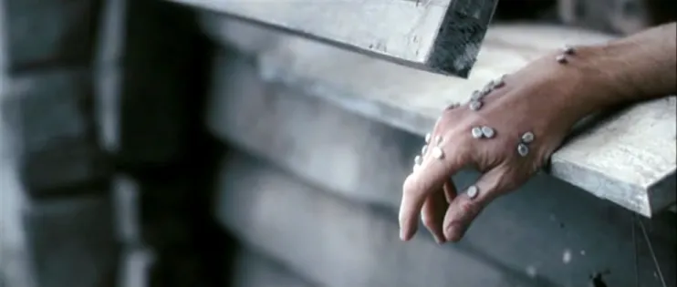 fig. 27 - ANTICHRIST - Lars von Trier (2009)