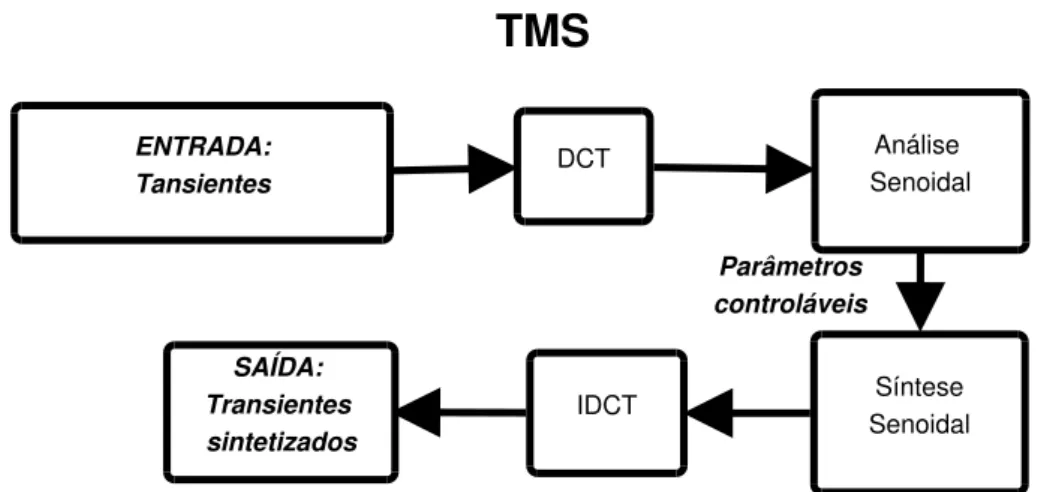 Figura 5.1. Diagrama de blocos do TMS para o caso de modelagem de transi- transi-entes isolados